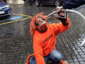 Sit in a Roma per dire no all'olio di palma nei motori Sit in a Roma per dire no all'olio di palma nei motori