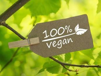 Le 5 regole per un armadio 100% veg Le 5 regole per un armadio 100% veg