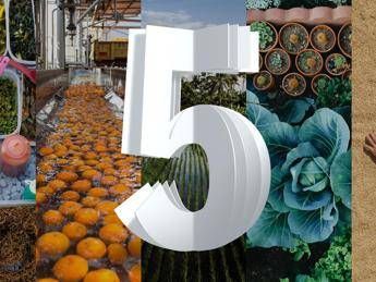 Dal cibo alla plastica, le innovazioni '5in5' per la sostenibilità Dal cibo alla plastica, le innovazioni '5in5' per la sostenibilità