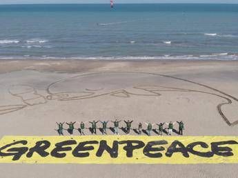 Stop alla plastica monouso, centinaia di persone scendono in spiaggia Stop alla plastica monouso, centinaia di persone scendono in spiaggia