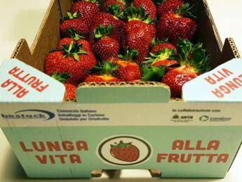 Carta e cartone, imballaggi sempre più riciclabili e compostabili Carta e cartone, imballaggi sempre più riciclabili e compostabili