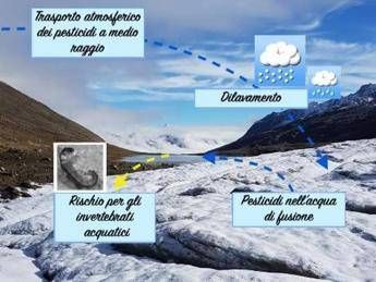 UniBicocca: pesticidi in alta quota, a rischio insetti ghiacciai alpini UniBicocca: pesticidi in alta quota, a rischio insetti ghiacciai alpini