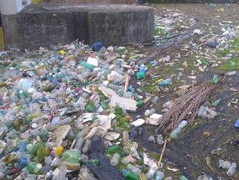 Dal canale un 'fiume' di rifiuti Dal canale un 'fiume' di rifiuti
