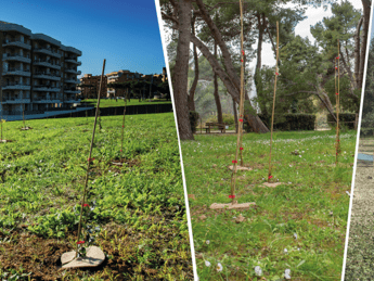 Con Mosaico Verde oltre 233mila alberi saranno piantati Con Mosaico Verde oltre 233mila alberi saranno piantati