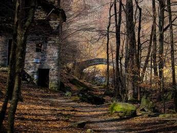 Le foreste più belle, Pefc premia vincitori contest fotografico Le foreste più belle, Pefc premia vincitori contest fotografico