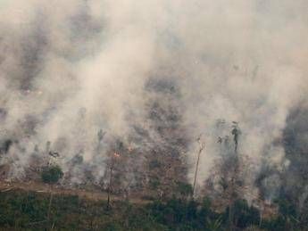 Dall'Amazzonia all'Artico, nel 2019 in fumo oltre 20 mln di ettari di foreste Dall'Amazzonia all'Artico, nel 2019 in fumo oltre 20 mln di ettari di foreste