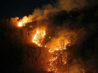 Amazzonia, da incendi effetti su qualità dell'aria e clima