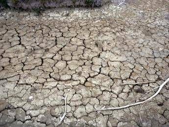 Clima mediterraneo, 'da controllo CO2 effetto sulle piogge' Clima mediterraneo, 'da controllo CO2 effetto sulle piogge'