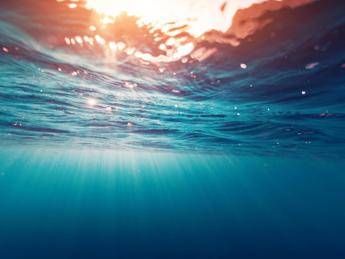 Agenda 2030, allarme Wwf su Obiettivo per la tutela degli Oceani Agenda 2030, allarme Wwf su Obiettivo per la tutela degli Oceani