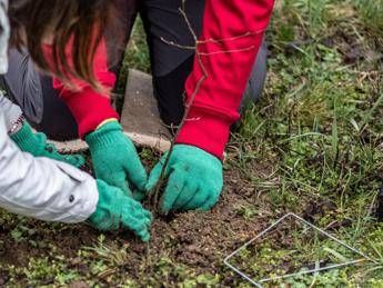 Al via 'Ancora Natura', le foreste rinascono dopo la tempesta Vaia Al via 'Ancora Natura', le foreste rinascono dopo la tempesta Vaia