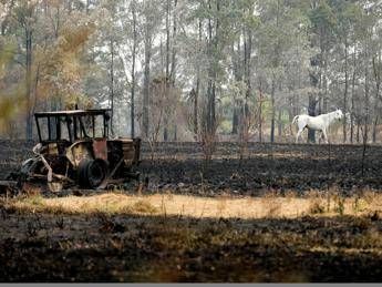 Australia, 'stagione incendi alimentata dal climate change' Australia, 'stagione incendi alimentata dal climate change'