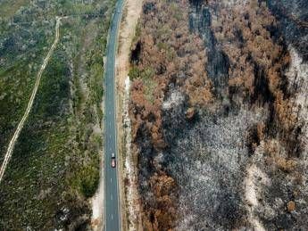 Australia, 2019 anno più caldo e secco di sempre