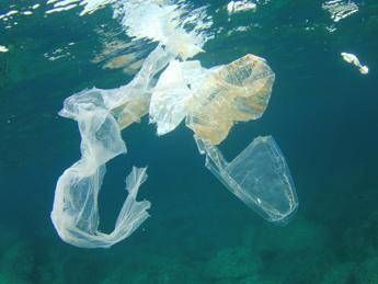 Esposto di Greenpeace contro Regione Toscana per plastica nel Tirreno Esposto di Greenpeace contro Regione Toscana per plastica nel Tirreno