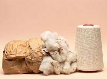 H&M al top per cotone biologico e piume certificate