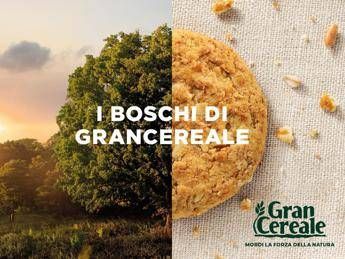 Gran Cereale per l'ambiente, ripristina 6 aree boschive italiane Gran Cereale per l'ambiente, ripristina 6 aree boschive italiane
