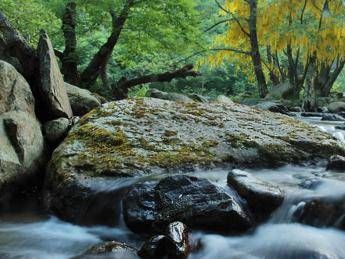 Val Grande, dal 27 giugno al 19 settembre '50 sfumature di Parco' Val Grande, dal 27 giugno al 19 settembre '50 sfumature di Parco'
