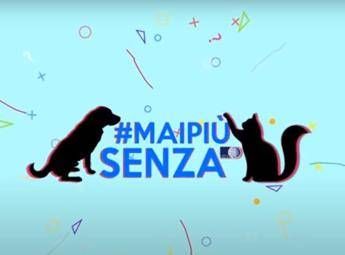 Vip contro il randagismo, al via 'Mai più senza di loro' Vip contro il randagismo, al via 'Mai più senza di loro'