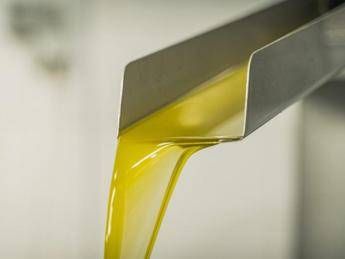 RenOils, nel 2019 raccolte oltre 44mila t di oli alimentari (+25%) RenOils, nel 2019 raccolte oltre 44mila t di oli alimentari (+25%)