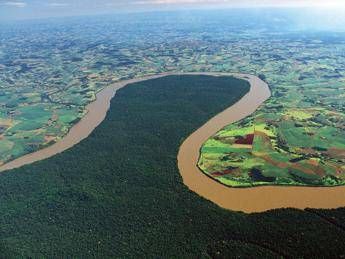 Il giorno dell'Amazzonia, 10 cose da sapere Il giorno dell'Amazzonia, 10 cose da sapere