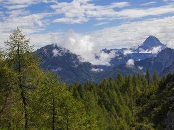 Clima, ghiacciai alpini in forte sofferenza Clima, ghiacciai alpini in forte sofferenza