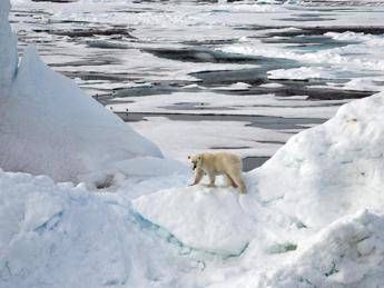 Clima, agosto 2020 quarto più caldo Clima, agosto 2020 quarto più caldo