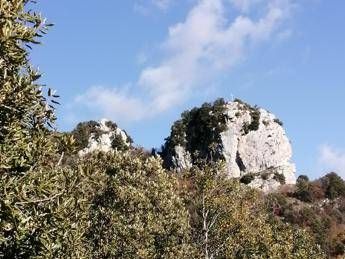Salviamo il bosco delle Lucinetta, a Subiaco cittadini si mobilitano 