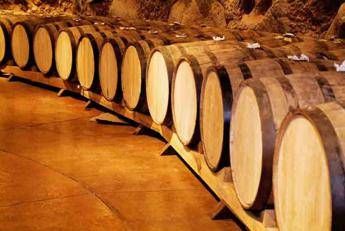 A Pisa al via un master per diventare ambasciatore del vino A Pisa al via un master per diventare ambasciatore del vino