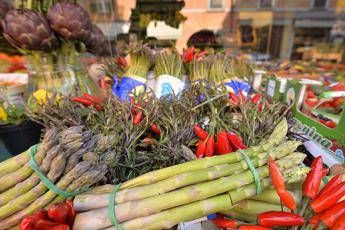 Cancro a prostata, rischio ridotto di un terzo con dieta vegana Cancro a prostata, rischio ridotto di un terzo con dieta vegana