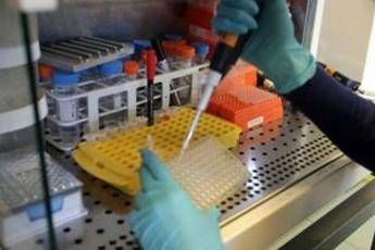 Negli Usa primo caso di batterio resistente a tutti gli antibiotici Negli Usa primo caso di batterio resistente a tutti gli antibiotici