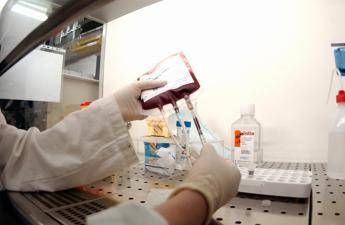 Un'infusione di staminali per rigenerare il fegato Un'infusione di staminali per rigenerare il fegato