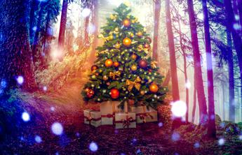 Regali Di Natale Strani.Regali Di Natale Introvabili