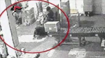 Mafia, nuovo colpo al clan del boss Messina Denaro: 4 arresti /Video Mafia, nuovo colpo al clan del boss Messina Denaro: 4 arresti /Video