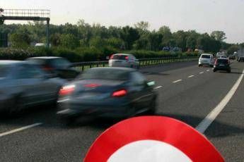 Cinghiali invadono autostrada, tragedia sfiorata: un ferito e 8 animali morti Cinghiali invadono autostrada, tragedia sfiorata: un ferito e 8 animali morti