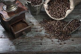 Illy: Senza sostenibilità, non c'è qualità Illy: Senza sostenibilità, non c'è qualità