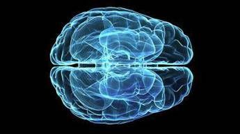 Una nuova tecnica studia i circuiti della memoria, speranze contro le demenze Una nuova tecnica studia i circuiti della memoria, speranze contro le demenze