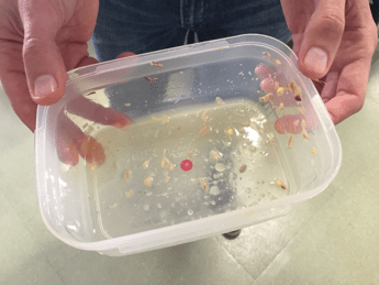 Plastica sotto la lente per rischio diabete, studio su mamme e bimbi Plastica sotto la lente per rischio diabete, studio su mamme e bimbi