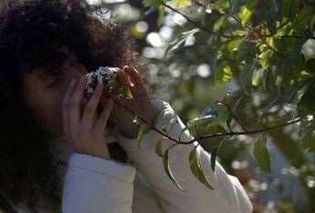 Dall'ortica alla calendula, le 'erbacce' sono ricche di vitamine e sali minerali Dall'ortica alla calendula, le 'erbacce' sono ricche di vitamine e sali minerali