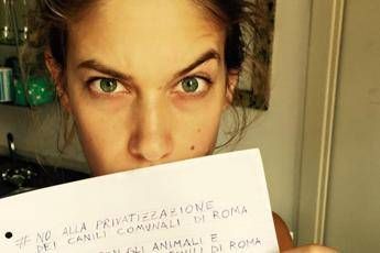 No alla privatizzazione dei canili di Roma, Tea Falco chiede aiuto per la campagna su FB /Foto No alla privatizzazione dei canili di Roma, Tea Falco chiede aiuto per la campagna su FB /Foto
