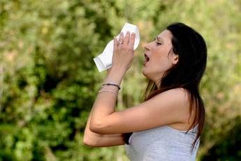 Pollini e allergie, i consigli alla guida (e non solo) Pollini e allergie, i consigli alla guida (e non solo)