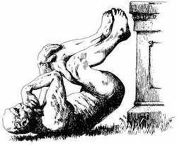Strano ma vero, ecco le scoperte premiate dagli IgNobel Strano ma vero, ecco le scoperte premiate dagli IgNobel