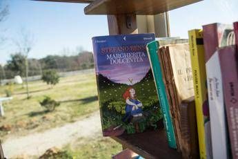 Bonus fino a 1.000 euro per i libri, la proposta Bonus fino a 1.000 euro per i libri, la proposta