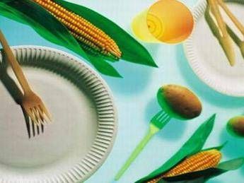 La Francia mette al bando le stoviglie monouso in plastica a partire dal 2020. O forse no. La Francia mette al bando le stoviglie monouso in plastica a partire dal 2020. O forse no.