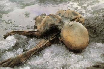 Ötzi la Mummia dei ghiacci era malato di cuore Ötzi la Mummia dei ghiacci era malato di cuore