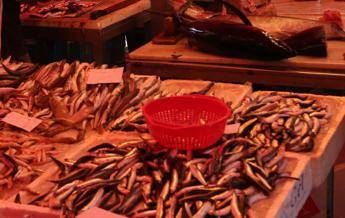 Sardine, boom anche al mercato: vendite +15% Sardine, boom anche al mercato: vendite +15%