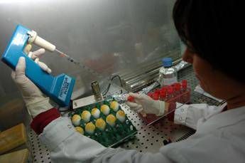 Spagna, sì a editing genetico su embrioni umani Spagna, sì a editing genetico su embrioni umani