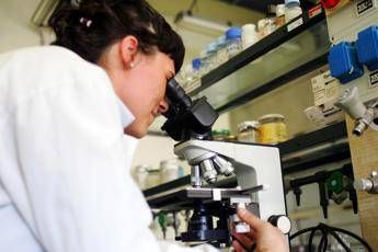 Virus o batterio? Test del sangue svela causa infezione Virus o batterio? Test del sangue svela causa infezione