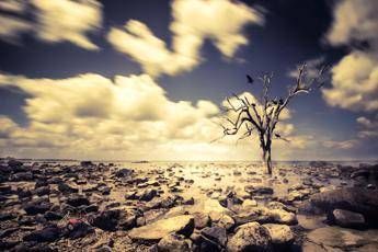 Clima, gli ultimi 10 anni i più caldi mai registrati Clima, gli ultimi 10 anni i più caldi mai registrati