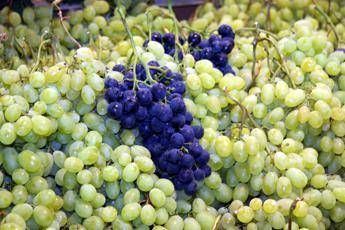 Uva, fragole, basilico: fino a 15 sostanze diverse rilevate dai laboratori Uva, fragole, basilico: fino a 15 sostanze diverse rilevate dai laboratori
