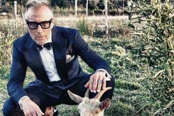 Gianluca Vacchi, l'azienda prende le distanze: Non ha incarichi dirigenziali Gianluca Vacchi, l'azienda prende le distanze: Non ha incarichi dirigenziali