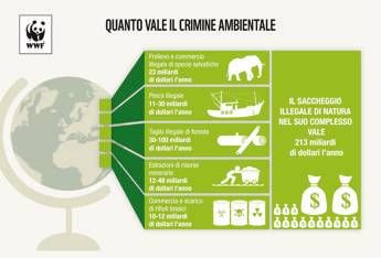 I crimini di natura nel mondo valgono 213 mld di dollari I crimini di natura nel mondo valgono 213 mld di dollari